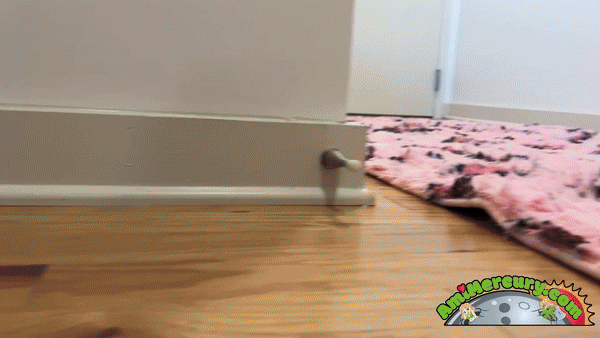 amimercury.com - Unaware Apartment Giantess thumbnail